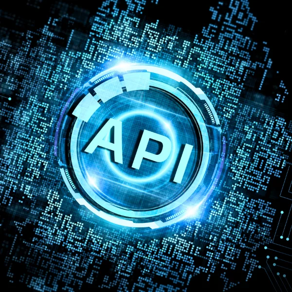 Custom-Plugin-WordPress Development Company