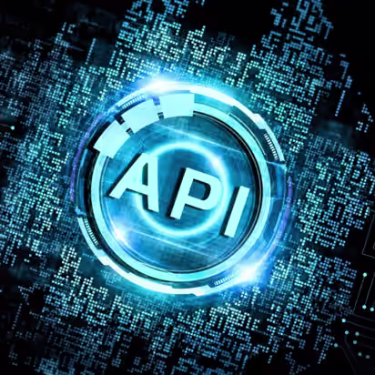 Custom-Plugin-WordPress Development Company