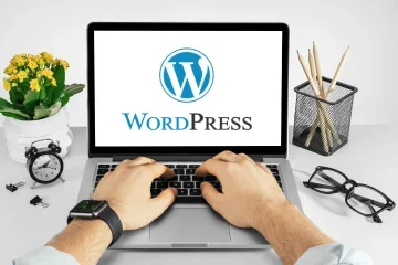 wordpress development